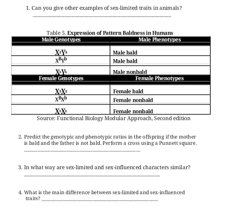 1. Can you give other examples of sex-limited traits in animals?
Table 5. Expression of Pattern Baldness in Humans
Male Genotypes
Male Phenotypes
Male bald
xByb
Male bald
Male nonbald
Female Genotypes
Female Phenotypes
X»X®
xByb
Female bald
Female nonbald
Female nonbald
X-X
Source: Functional Biology Modular Approach, Second edition
2. Predict the genotypic and phenotypic ratios in the offspring if the mother
is bald and the father is not bald. Perform a cross using a Punnett square.
3. In what way are sex-limited and sex-influenced characters similar?
4. What is the main difference between sex-limited and sex-influenced
traits?.
