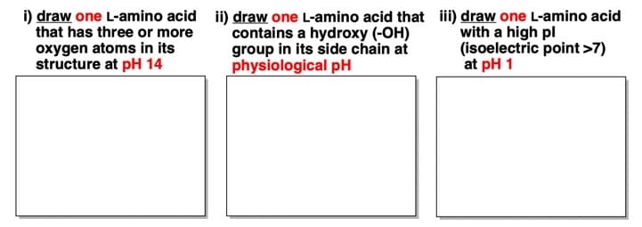 i) draw one L-amino acid ii) draw one L-amino acid that
that has three or more
oxygen atoms in its
structure at pH 14
contains a hydroxy (-OH)
group in its side chain at
physiological pH
iii) draw one L-amino acid
with a high pl
(isoelectric point >7)
at pH 1