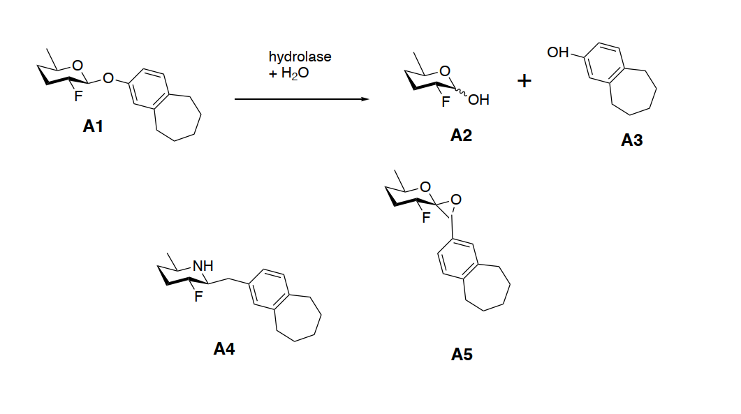 OH.
hydrolase
+ H20
+
F
HO.
A1
A2
АЗ
NH
F
А4
A5
