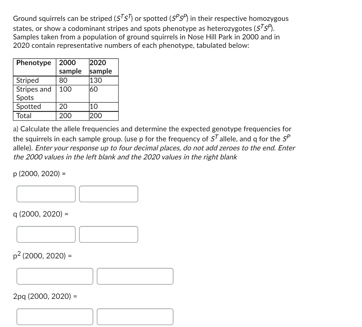 Ground squirrels can be striped (STST) or spotted (SPSP) in their respective homozygous
states, or show a codominant stripes and spots phenotype as heterozygotes (STSP).
Samples taken from a population of ground squirrels in Nose Hill Park in 2000 and in
2020 contain representative numbers of each phenotype, tabulated below:
Phenotype 2000 2020
sample sample
80
100
Striped
Stripes and
Spots
Spotted 20
Total
200
q (2000, 2020) =
a) Calculate the allele frequencies and determine the expected genotype frequencies for
the squirrels in each sample group. (use p for the frequency of ST allele, and q for the SP
allele). Enter your response up to four decimal places, do not add zeroes to the end. Enter
the 2000 values in the left blank and the 2020 values in the right blank
p (2000, 2020) =
p² (2000, 2020) =
130
60
2pq (2000, 2020) =
10
200