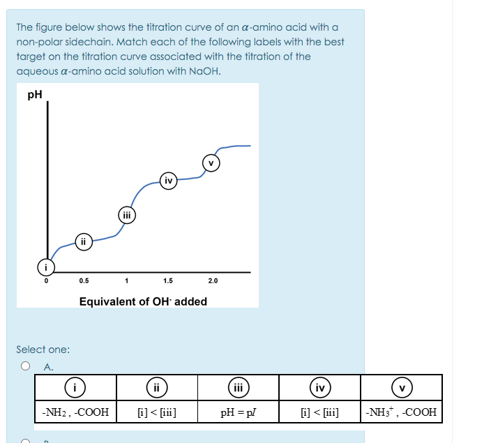 The figure below shows the titration curve of an a-amino acid with a
non-polar sidechain. Match each of the following labels with the best
target on the titration curve associated with the titration of the
aqueous a-amino acid solution with NaOH.
pH
iv
(i
ii
0.5
1.5
2.0
Equivalent of OH added
Select one:
A.
ii
iii
iv
-NH2, -COOH
[i] < [ii]
pH = pl
i] < [ii]
-NH3" , -COOH
