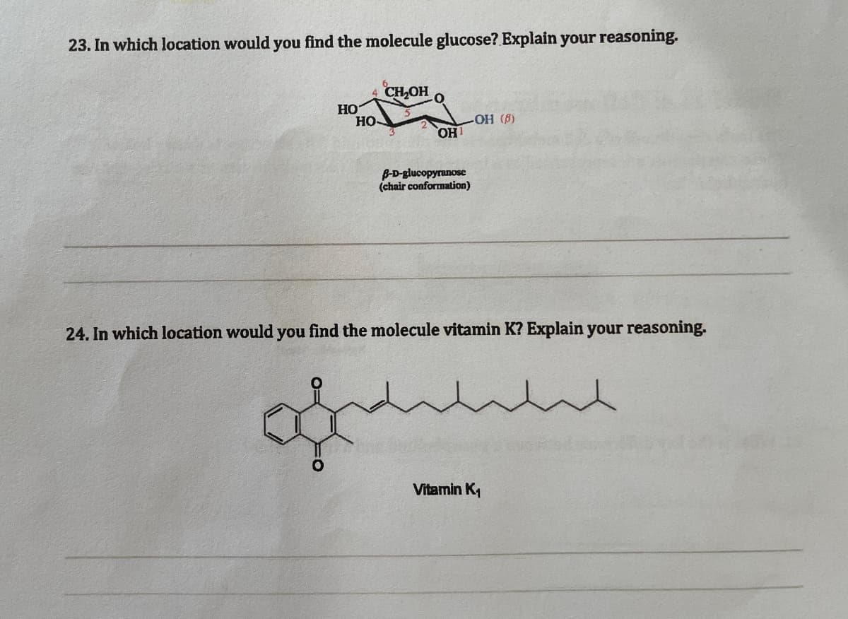 23. In which location would you find the molecule glucose? Explain your reasoning.
HO
HO
CH₂OH
-OH (8)
OH1
8-D-glucopyranose
(chair conformation)
24. In which location would you find the molecule vitamin K? Explain your reasoning.
двалла
Vitamin K₁