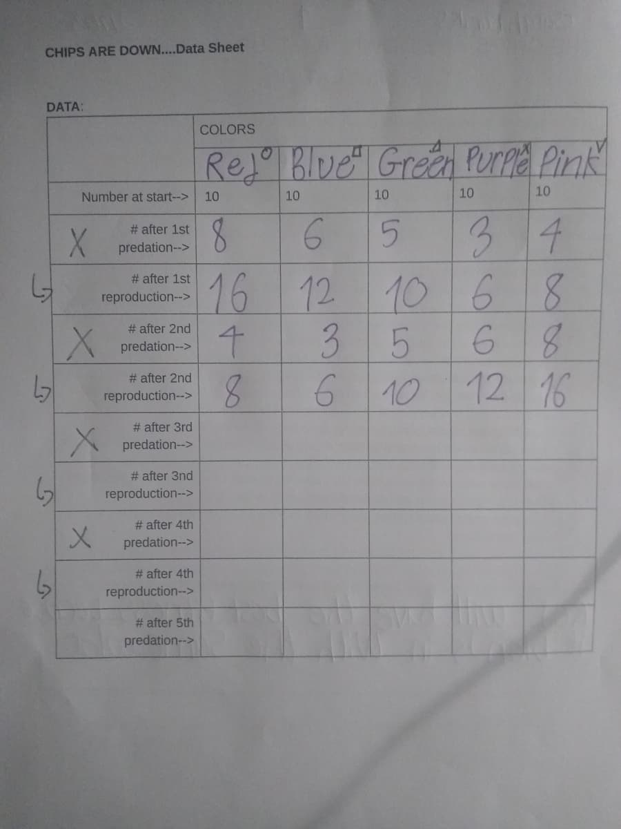 CHIPS ARE DOWN....Data Sheet
DATA:
너
421
6₂
61
Number at start-->
X
X
# after 1st
predation-->
# after 1st
reproduction-->
x
# after 2nd
predation-->
# after 2nd
reproduction-->
# after 3rd
X predation->
# after 3nd
reproduction-->
# after 4th
predation-->
# after 4th
reproduction-->
# after 5th
predation-->
COLORS
Rejo Blue Green Purple Pink
10
8
10
6
16 12
4
3
8
6
10
10
5
3
10
6
5 6
10
10
4
8
8
12 16