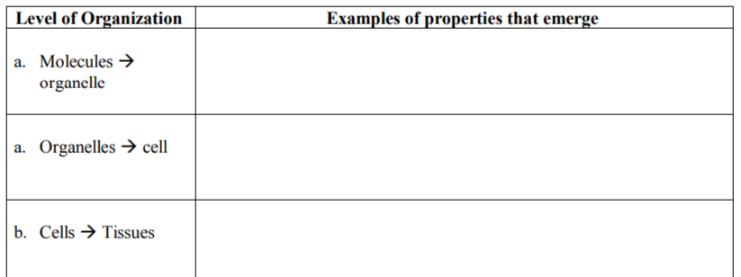 Level of Organization
Examples of properties that emerge
a. Molecules →
organelle
a. Organelles → cell
b. Cells → Tissues
