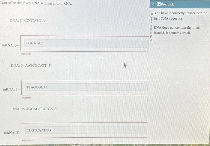 Transcribe the given DNA sequences to mRNA.
DNA: 5'-CCGTATG-3'
mRNA: 3'-
mRNA: 3-
GGCATAC
Incorrect
DNA: 5'-AATCGCATT-3
mRNA: 3-
TTAGCGCAT
incorrect
DNA: 5'-AGCAGTTACCA-39
TCGTCAATGGT
Incorrect
< Feedback
You have incorrectly transcribed the
first DNA sequence.
Macmillan Learning
2
RNA does not contain thymine.
Instead, it contains uracil.