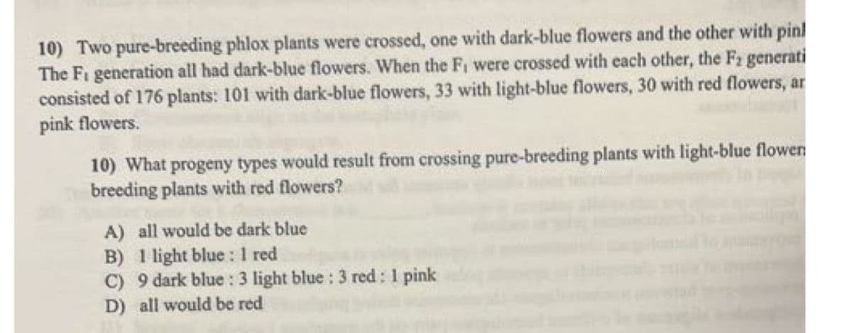 10) Two pure-breeding phlox plants were crossed, one with dark-blue flowers and the other with pinl
The Fi generation all had dark-blue flowers. When the F₁ were crossed with each other, the F₂ generati
consisted of 176 plants: 101 with dark-blue flowers, 33 with light-blue flowers, 30 with red flowers, ar
pink flowers.
10) What progeny types would result from crossing pure-breeding plants with light-blue flowen
breeding plants with red flowers?
A) all would be dark blue
B) 1 light blue: 1 red
C) 9 dark blue: 3 light blue: 3 red: 1 pink
D) all would be red