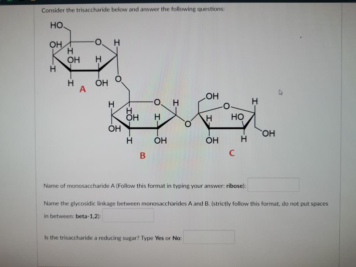 Consider the trisaccharide below and answer the following questions:
но.
OH
OH
H.
OH
HO
Но
ОН
ÓH
H
ÓH
ОН
C
Name of monosaccharide A (Follow this format in typing your answer: ribose):
Name the glycosidic linkage between monosaccharides A and B. (strictly follow this format, do not put spaces
in between: beta-1,2):
Is the trisaccharide a reducing sugar? Type Yes or No:
I-
I-
