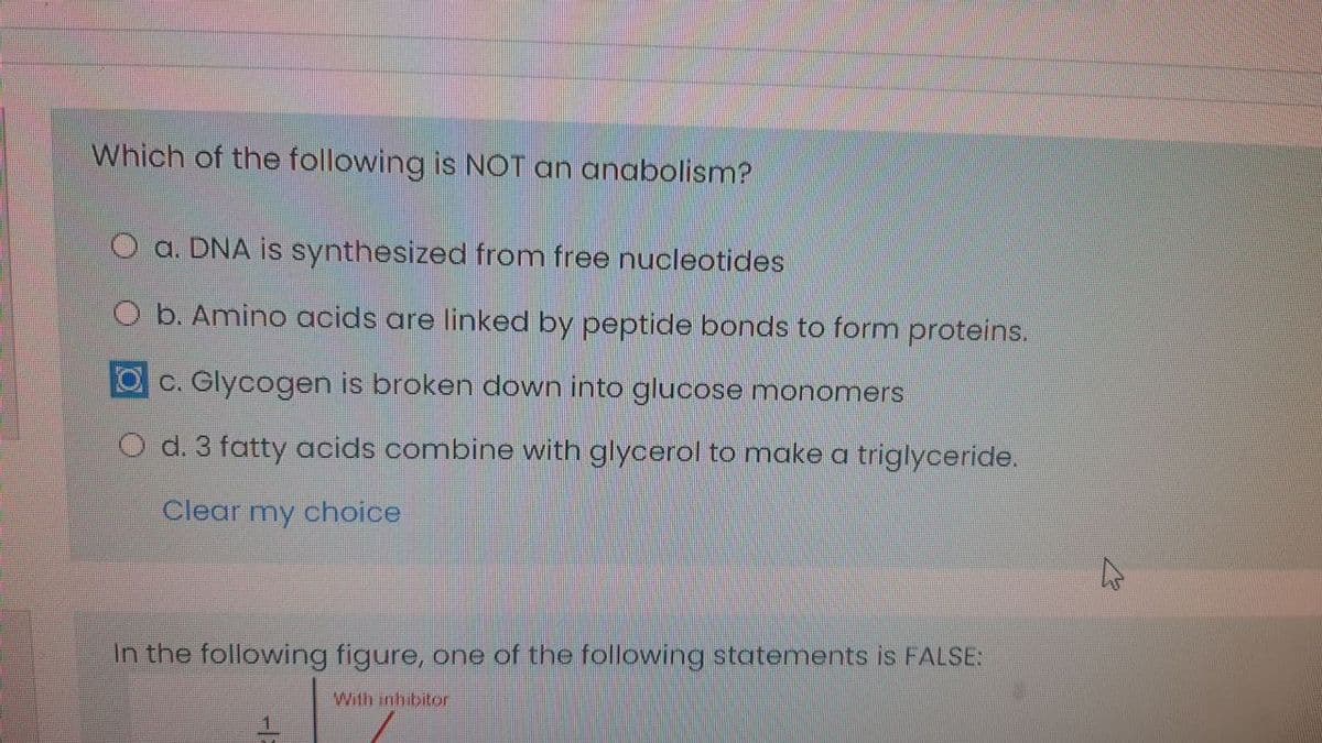 Which of the following is NOT an anabolism?
a. DNA is synthesized from free nucleotides
O b. Amino acids are linked by peptide bonds to form proteins.
O C. Glycogen is broken down into glucose monomers
O d. 3 fatty acids combine with glycerol to make a triglyceride.
Clear my choice
In the following figure, one of the following statements is FALSE:
With inhibitor
