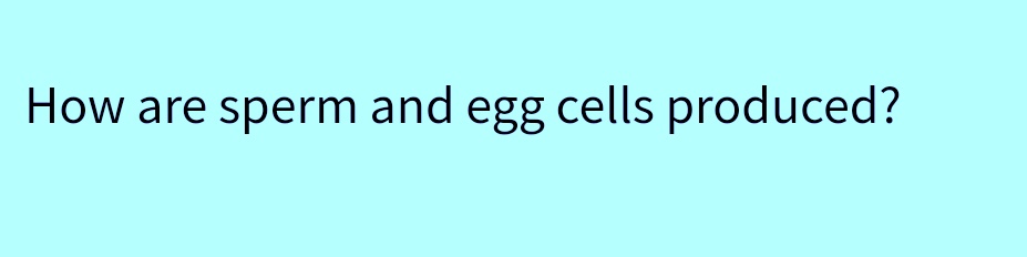 How are sperm and egg cells produced?
