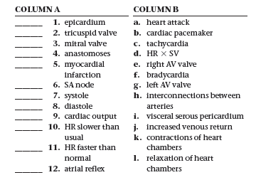 COLUMN A
COLUMN B
1. eplcardium
2. tricuspid valve
3. mitral valve
a. heart attack
b. cardiac pacemaker
c. tachycardia
4. anastomoses
d. HR X SV
5. myocardlal
e. right AV valve
f. bradycardia
g. left AV valve
Infarction
6. SA node
7. systole
8. diastole
9. cardlac output
10. HR slower than j. increased venous return
h. interconnections between
arteries
i. visceral serous pericardium
usual
k. contractlons of heart
11. HR faster than
chambers
normal
1. relaxatlon of heart
12. atrial reflex
chambers
