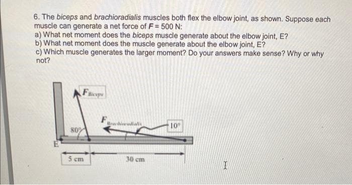 6. The biceps and brachioradialis muscles both flex the elbow joint, as shown. Suppose each
muscle can generate a net force of F = 500 N:
a) What net moment does the biceps muscle generate about the elbow joint, E?
b) What net moment does the muscle generate about the elbow joint, E?
c) Which muscle generates the larger moment? Do your answers make sense? Why or why
not?
E
F
80%
5 cm
wwwwwfal
30 cm
10°
I