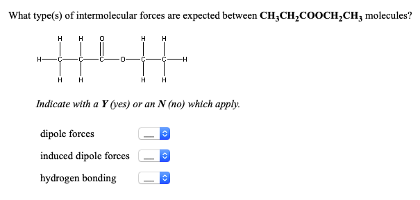 What type(s) of intermolecular forces are expected between CH3CH₂COOCH₂CH3 molecules?
H H 0
||||
H-
C
H H
H H
dipole forces
induced dipole forces
hydrogen bonding
H H
Indicate with a Y (yes) or an N (no) which apply.
-H
ŵ