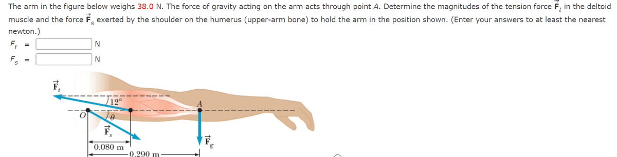 The arm in the figure below weighs 38.0 N. The force of gravity acting on the arm acts through point A. Determine the magnitudes of the tension force F in the deltoid
muscle and the force exerted by the shoulder on the humerus (upper-arm bone) to hold the arm in the position shown. (Enter your answers to at least the nearest
newton.)
Ft
S
=
=
S
N
N
12°
F
0.080 m
0.290 m
F₂