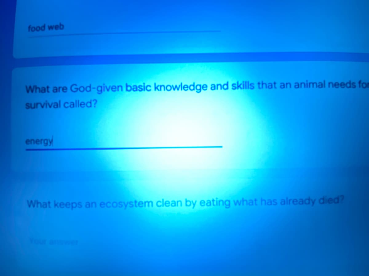 food web
What are God-given basic knowledge and skills that an animal needs for
survival called?
energy
What keeps an ecosystem clean by eating what has already died?
Your answer
