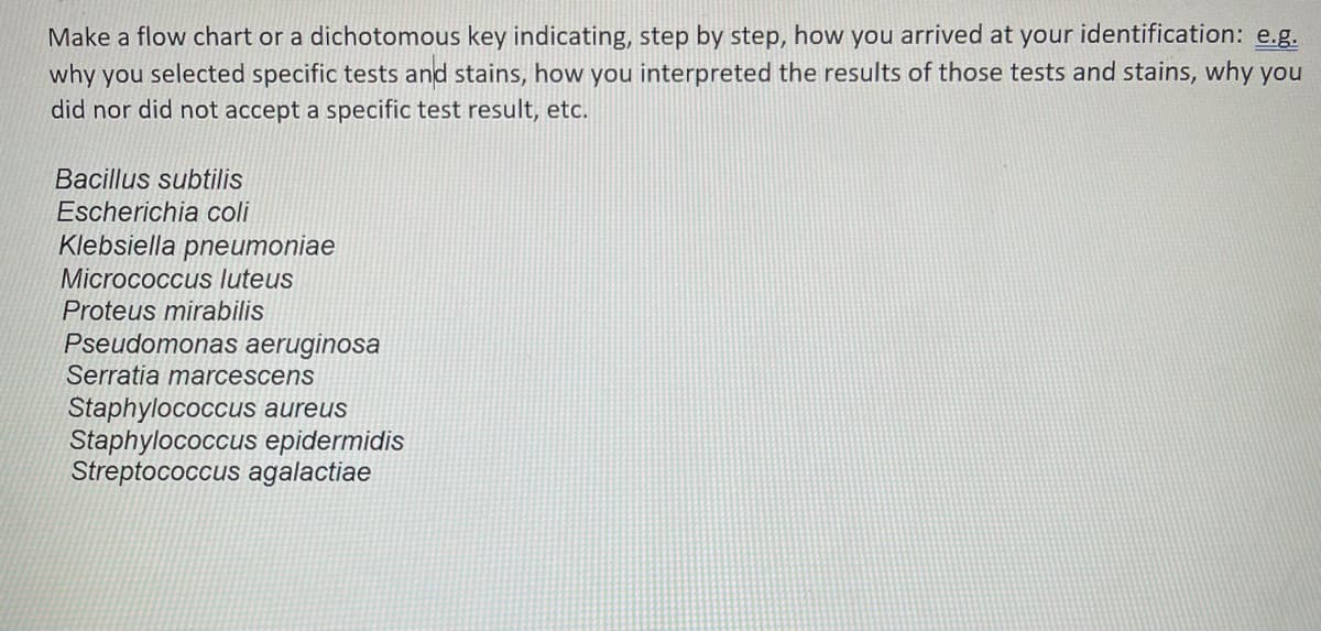 ### Educational Resource: Creating a Flow Chart/Dichotomous Key for Bacterial Identification

#### Task 

Make a flow chart or a dichotomous key indicating, step by step, how you arrived at your identification. Consider the following:

- Why you selected specific tests and stains.
- How you interpreted the results of those tests and stains.
- Why you did or did not accept a specific test result, etc.

#### Bacterial Species for Identification:

1. **Bacillus subtilis**
2. **Escherichia coli**
3. **Klebsiella pneumoniae**
4. **Micrococcus luteus**
5. **Proteus mirabilis**
6. **Pseudomonas aeruginosa**
7. **Serratia marcescens**
8. **Staphylococcus aureus**
9. **Staphylococcus epidermidis**
10. **Streptococcus agalactiae**

### Steps to Create a Flow Chart or Dichotomous Key

1. **Select Specific Tests and Stains**:
   Choose tests based on the likely characteristics of the bacteria such as Gram staining, oxygen requirement, fermentation abilities, enzyme production (e.g., catalase, oxidase, urease), and motility.

2. **Perform Tests and Record Results**:
   Conduct each test carefully. Record whether bacteria are Gram-positive or Gram-negative, the shape, and grouping of cells, and results from biochemical tests.

3. **Interpret Results Step-by-Step**:
   Compare the test results to known bacterial characteristics to narrow down the possibilities.

4. **Flow Chart/Dichotomous Key**:
   - Start with broad categories (e.g., Gram-positive vs. Gram-negative).
   - Move to more specific tests (e.g., catalase test for Gram-positive cocci, oxidase test for Gram-negative rods).
   - Continue to progressively more specific tests until a single species can be identified.

### Example Flow Chart Structure

1. **Gram Stain Test**:
   - Gram-positive: Proceed to catalase test.
   - Gram-negative: Proceed to oxidase test.

2. **Catalase Test (for Gram-positive)**:
   - Catalase positive: Staphylococcus spp. (Proceed to coagulase test)
   - Catalase negative: Streptococcus spp. (Identify hemolysis pattern on blood agar)

3. **Oxidase Test (for Gram-negative)**:
   - Oxidase positive: