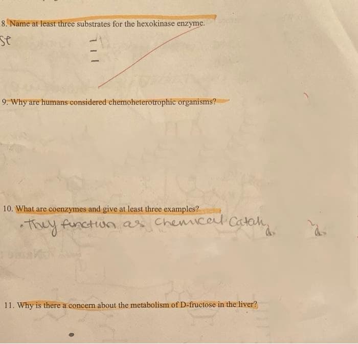 8. Name at least three substrates for the hexokinase enzyme.
se
9. Why are humans considered chemoheterotrophic organisms?
10. What are coenzymes and give at least three examples?
•They functon as
Chemicel Catah,
11. Why is there a concern about the metabolism of D-fructose in the liver?
