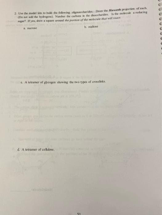 2. Use the model kits to build the following oligosaccharides. Draw the Haworth projection of each.
(Do not add the hydrogens). Number the carbons in the disaccharides. Is the molecule a reducing
sugar? If yes, draw a square around the portion of the molecule that will react.
a. sucrose
b. maltose
e. A tetramer of glycogen showing the two types of crosslinks.
d. A tetramer of cellulose.
2