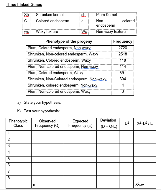 Three Linked Genes
Sh
Shrunken kernel
sb
Plum Kernel
Colored endosperm
Non-
endosperm
colored
WX
Waxy texture
Wx
Non-waxy texture
Phenotype of the progeny
Plum, Colored endosperm, Non-waxy.
Shrunken, Non-colored endosperm, Waxy
Shrunken, Colored endosperm, Waxy
Plum, Non-colored endosperm, Non-waxy
Plum, Colored endosperm, Waxy
Shrunken, Non-Colored endosperm, Non-waxy
Shrunken, colored endosperm, Non-waxy.
Plum, Non-colored endosperm, Waxy
Frequency
2728
2518
118
114
591
604
a) State your hypothesis:
b) Test your hypothesis:
Deviation
Phenotypic
Class
Observed
Frequency (0)
Expected
Frequency (E)
X2=D2 /E
D2
(D = O-E)
1
2
6.
n =
X-com=
o IN lco
