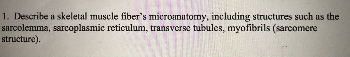 1. Describe a skeletal muscle fiber's microanatomy, including structures such as the
sarcolemma, sarcoplasmic reticulum, transverse tubules, myofibrils (sarcomere
structure).
