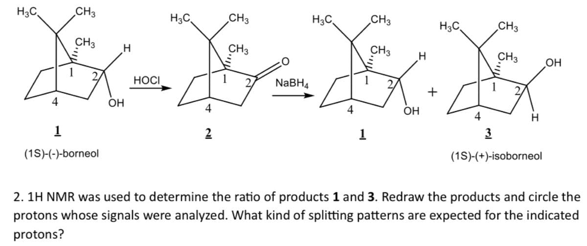 H3C
CH3
H3C
CH3
H3C
CH3
CH3
H
CH3
CH3
H
HOCI
1
NaBH4
4
OH
1
2
H3C
CH3
CH3
OH
1
+
OH
H
1
3
(1S)-(-)-borneol
(1S)-(+)-isoborneol
2. 1H NMR was used to determine the ratio of products 1 and 3. Redraw the products and circle the
protons whose signals were analyzed. What kind of splitting patterns are expected for the indicated
protons?