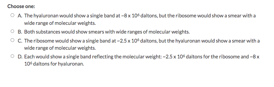 Choose one:
O A. The hyaluronan would show a single band at ~8 x 106 daltons, but the ribosome would show a smear with a
wide range of molecular weights.
B. Both substances would show smears with wide ranges of molecular weights.
C. The ribosome would show a single band at ~2.5 x 106 daltons, but the hyaluronan would show a smear with a
wide range of molecular weights.
D. Each would show a single band reflecting the molecular weight: ~2.5 x 106 daltons for the ribosome and ~8 x
106 daltons for hyaluronan.