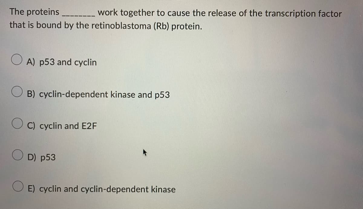 The proteins
work together to cause the release of the transcription factor
that is bound by the retinoblastoma (Rb) protein.
OA) p53 and cyclin
OB) cyclin-dependent kinase and p53
C) cyclin and E2F
E) cyclin and cyclin-dependent kinase
OD) p53