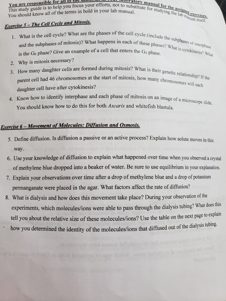 atory manual for the assigned exercises.
You are responsible for all &
parent cell had 46 chromosomes at the start of mitosis, how many chromosomes will each
and the subphases of mitosis)? What happens in each of these phases? What is cytokinesis? What
1. What is the cell cycle? What are the phases of the cell cycle (include the subphases of interphase
This study guide is to help you focus your efforts, not to substitute for studying the lab manual itself.
4. Know how to identify interphase and each phase of mitosis on an image of a microscope slide.
3. How many daughter cells are formed during mitosis? What is their genetic relationship? If the
You should know all of the terms in bold in your lab manual
Exercise 5 – The Cell Cycle and Mitosis.
is the Go phase? Give an example of a cell that enters the Ga nhà
2. Why is mitosis necessary?
daughter cell have after cytokinesis?
You should know how to do this for both Ascaris and whitefish blastula
Exercise 6-Movement of Molecules: Diffusion and Osmosis.
5. Define diffusion. Is diffusion a passive or an active process? Explain how solute moves in this
way.
6. Use your knowledge of diffusion to explain what happened over time when you observed a crystal
of methylene blue dropped into a beaker of water. Be sure to use equilibrium in your explanation.
7. Explain your observations over time after a drop of methylene blue and a drop of potassium
permanganate were placed in the agar. What factors affect the rate of diffusion?
8. What is dialysis and how does this movement take place? During your observation of the
experiments, which molecules/ions were able to pass through the dialysis tubing? What does this
tell you about the relative size of these molecules/ions? Use the table on the next page to explaim
now you determined the identity of the molecules/ions that diffused out of the dialysis tubing.
pen twio bouol at suh leilerige to og doidWoueat fo
lo anoinut st ome
Snoitoston
