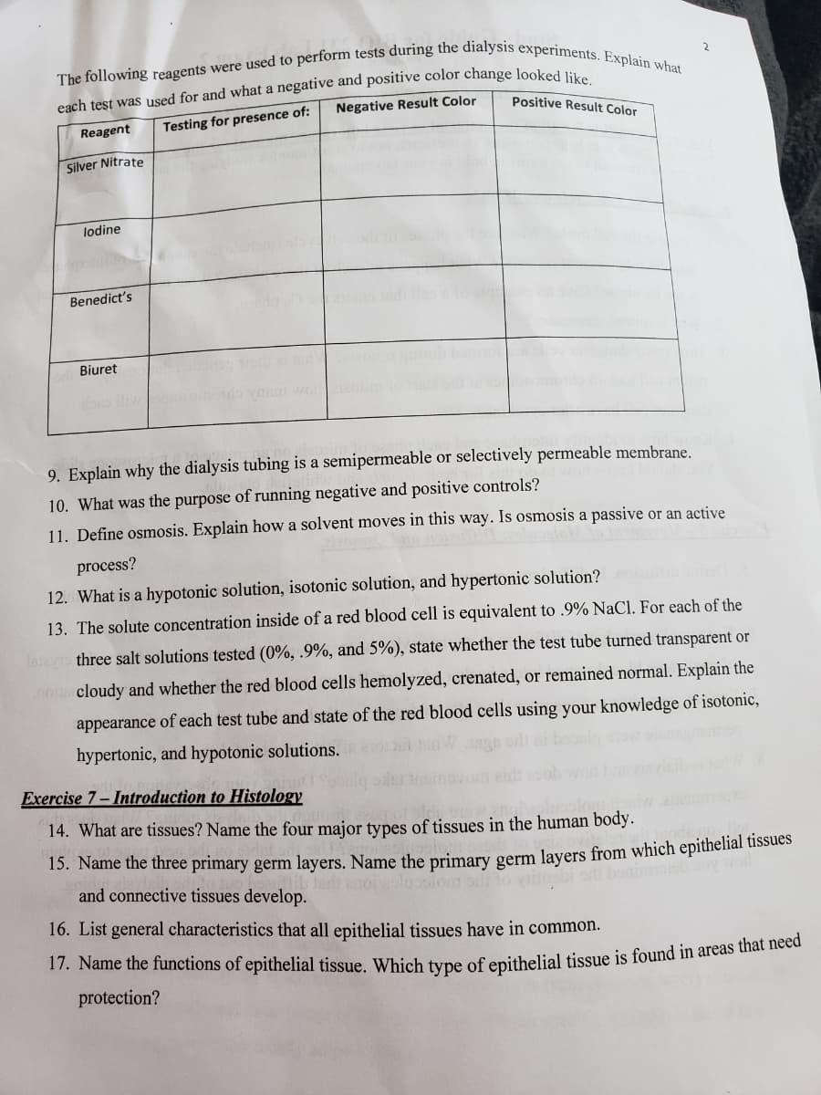 The following reagents were used to perform tests during the dialysis experiments. Explain what
Negative Result Color
Positive Result Color
Reagent
Testing for presence of:
Silver Nitrate
lodine
Benedict's
Biuret
9. Explain why the dialysis tubing is a semipermeable or selectively permeable membrane.
10. What was the purpose of running negative and positive controls?
11. Define osmosis. Explain how a solvent moves in this way. Is osmosis a passive or an active
process?
12. What is a hypotonic solution, isotonic solution, and hypertonic solution?
13. The solute concentration inside of a red blood cell is equivalent to .9% NaCl. For each of the
larero three salt solutions tested (0%, .9%, and 5%), state whether the test tube turned transparent or
nocloudy and whether the red blood cells hemolyzed, crenated, or remained normal. Explain the
appearance of each test tube and state of the red blood cells using your knowledge of isotonic,
hypertonic, and hypotonic solutions.
Exercise 7- Introduction to Histology
14. What are tissues? Name the four major types of tissues in the human body.
15. Name the three primary germ layers. Name the primary germ lavers from which epithelial tissues
looolom o
and connective tissues develop.
16. List general characteristics that all epithelial tissues have in common.
protection?
