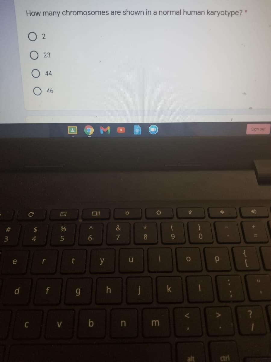 How many chromosomes are shown in a normal human karyotype? *
23
44
46
Sign out
%23
24
&
4.
7
8.
9.
e
r
y
d
f
g
h
j
k
C
b
ctri
+ Il
OI
