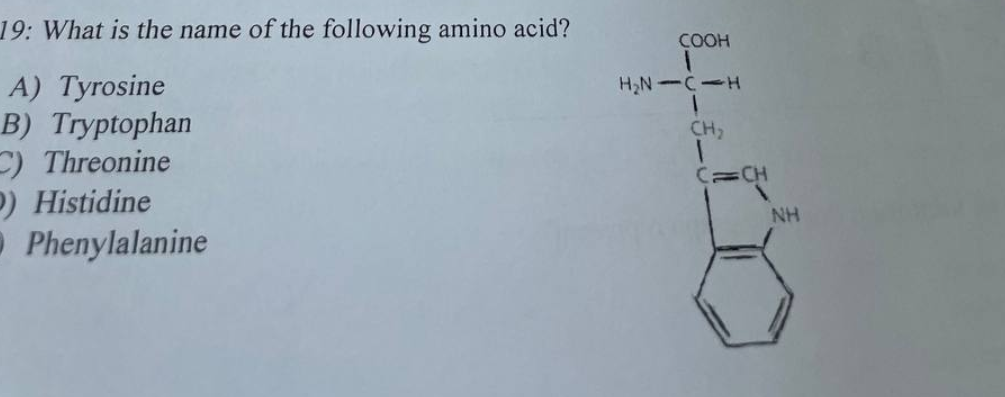 19: What is the name of the following amino acid?
A) Tyrosine
B) Tryptophan
C) Threonine
2) Histidine
Phenylalanine
COOH
H₂N-CH
CH₂
CICH
NH