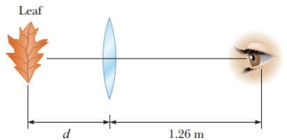 Leaf
d
1.26 m
