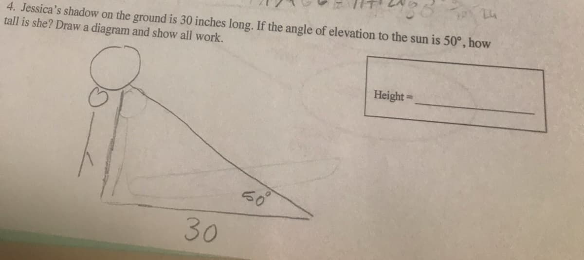 4. Jessica's shadow on the ground is 30 inches long. If the angle of elevation to the sun is 50°, how
tall is she? Draw a diagram and show all work.
30
50°
Height =