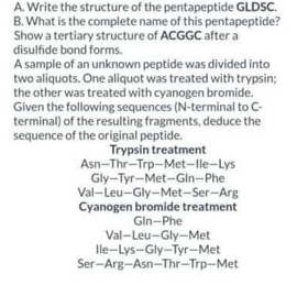 A. Write the structure of the pentapeptide GLDSC.
B. What is the complete name of this pentapeptide?
Show a tertiary structure of ACGGC after a
disulfide bond forms.
A sample of an unknown peptide was divided into
two aliquots. One aliquot was treated with trypsin;
the other was treated with cyanogen bromide.
Given the following sequences (N-terminal to C-
terminal) of the resulting fragments, deduce the
sequence of the original peptide.
Trypsin treatment
Asn-Thr-Trp-Met-lle-Lys
Gly-Tyr-Met-Gin-Phe
Val-Leu-Gly-Met-Ser-Arg
Cyanogen bromide treatment
Gin-Phe
Val-Leu-Gly-Met
lle-Lys-Gly-Tyr-Met
Ser-Arg-Asn-Thr-Trp-Met
