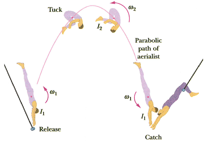 @2
Tuck
I2
Parabolic
path of
aerialist
01
Release
Catch
