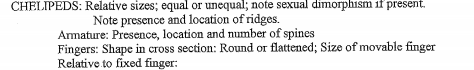 CHELIPEDS: Relative sizes; equal or unequal; note sexual dimorphism if present.
Note presence and location of ridges.
Armature: Presence, location and number of spines
Fingers: Shape in cross section: Round or flattened; Size of movable finger
Relative to fixed finger:
