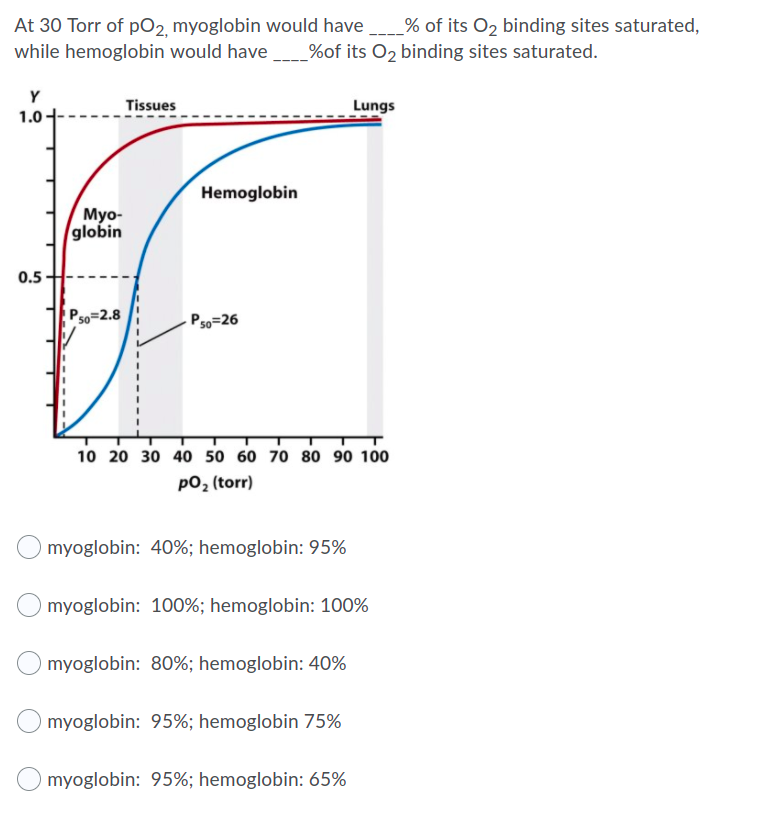 At 30 Torr of pO2 myoglobin would have
_% of its O2 binding sites saturated,
while hemoglobin would have _%of its O2 binding sites saturated.
Y
Tissues
Lungs
1.0-
Hemoglobin
Мyo-
globin
0.5
Pso=2.8
P50=26
50
10 20 30 40 50 60 70 80 90 100
pO2 (torr)
myoglobin: 40%; hemoglobin: 95%
myoglobin: 100%; hemoglobin: 100%
myoglobin: 80%; hemoglobin: 40%
myoglobin: 95%; hemoglobin 75%
myoglobin: 95%; hemoglobin: 65%
