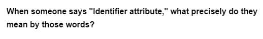 When someone says "Identifier attribute," what precisely do they
mean by those words?