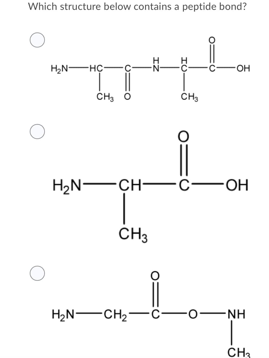 Which structure below contains a peptide bond?
H
H2N FHÇ
HO-
CH3 O
CH3
H2N -CH- CFOH
CH3
H2N -CH2- --O
NH
CH3
