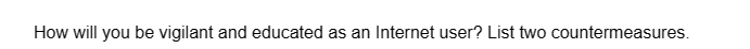 How will you be vigilant and educated as an Internet user? List two countermeasures.