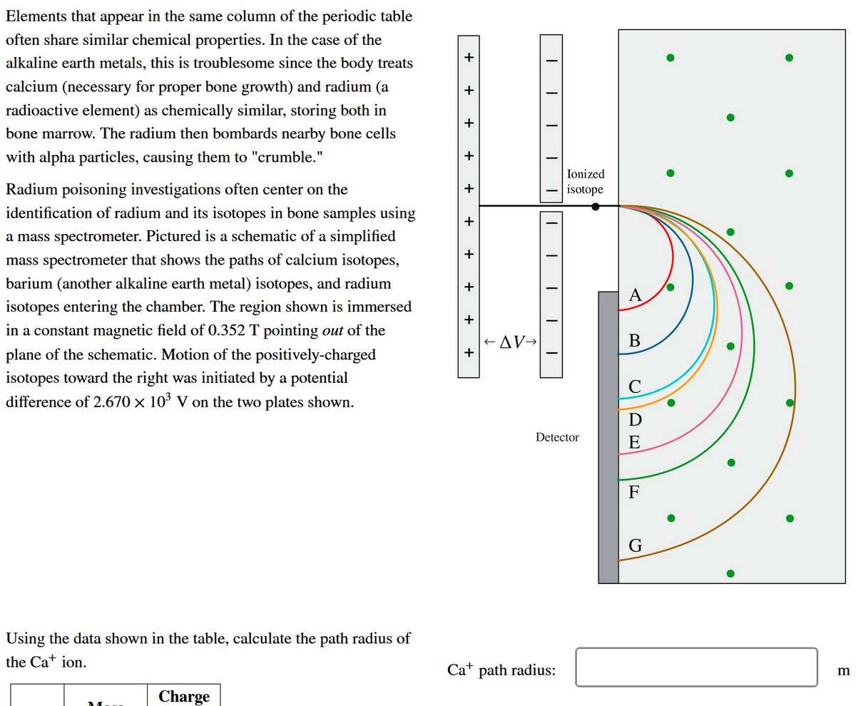 Elements that appear in the same column of the periodic table
often share similar chemical properties. In the case of the
+
alkaline earth metals, this is troublesome since the body treats
calcium (necessary for proper bone growth) and radium (a
radioactive element) as chemically similar, storing both in
+
bone marrow. The radium then bombards nearby bone cells
with alpha particles, causing them to "crumble."
Ionized
Radium poisoning investigations often center on the
identification of radium and its isotopes in bone samples using
+
isotope
+
a mass spectrometer. Pictured is a schematic of a simplified
mass spectrometer that shows the paths of calcium isotopes,
barium (another alkaline earth metal) isotopes, and radium
A
isotopes entering the chamber. The region shown is immersed
in a constant magnetic field of 0.352 T pointing out of the
+AV→
В
plane of the schematic. Motion of the positively-charged
isotopes toward the right was initiated by a potential
difference of 2.670 × 10³ V on the two plates shown.
Detector
E
F
Using the data shown in the table, calculate the path radius of
the Cat ion.
Cat path radius:
m
Charge
+
+
+
+
