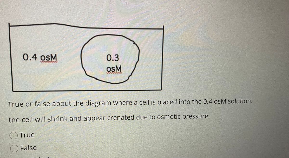 0.4 osM
0.3
osM
True or false about the diagram where a cell is placed into the 0.4 osM solution:
the cell will shrink and appear crenated due to osmotic pressure
O True
O False
ఆఅకడం

