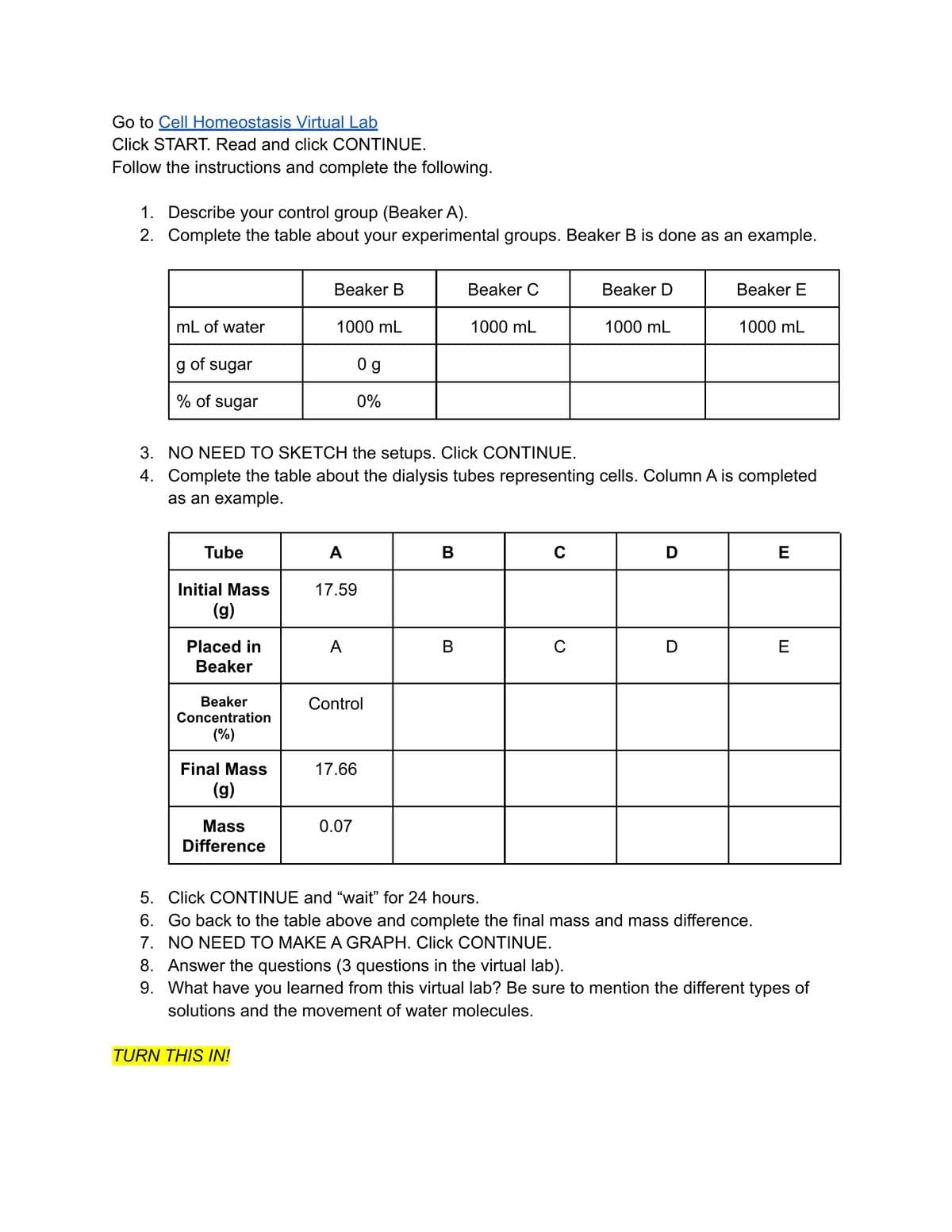 Go to Cell Homeostasis Virtual Lab
Click START. Read and click CONTINUE.
Follow the instructions and complete the following.
1. Describe your control group (Beaker A).
2. Complete the table about your experimental groups. Beaker B is done as an example.
Beaker B
Beaker C
Вeaker D
Beaker E
mL of water
1000 mL
1000 mL
1000 mL
1000 mL
g of sugar
0 g
% of sugar
0%
3. NO NEED TO SKETCH the setups. Click CONTINUE.
4. Complete the table about the dialysis tubes representing cells. Column A is completed
as an example.
Tube
A
В
C
D
E
Initial Mass
17.59
(g)
Placed in
A
В
D
E
Beaker
Вeaker
Control
Concentration
(%)
Final Mass
17.66
(g)
Mass
0.07
Difference
5. Click CONTINUE and "wait" for 24 hours.
6. Go back to the table above and complete the final mass and mass difference.
7. NO NEED TO MAKE A GRAPH. Click CONTINUE.
8. Answer the questions (3 questions in the virtual lab).
9. What have you learned from this virtual lab? Be sure to mention the different types of
solutions and the movement of water molecules.
TURN THIS IN!
