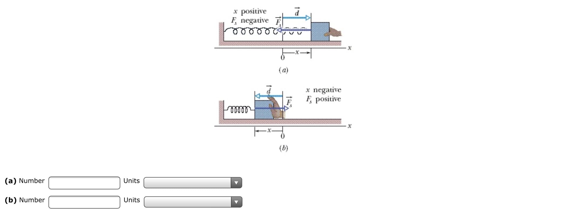 x positive
F, negative F
(a)
x negative
F, positive
х
(b)
(a) Number
Units
(b) Number
Units
