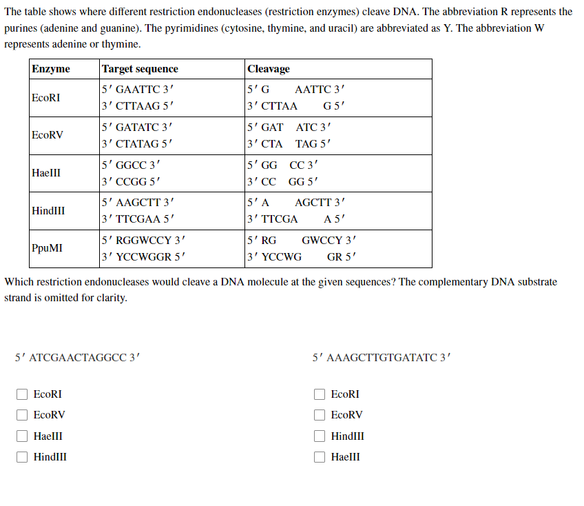 The table shows where different restriction endonucleases (restriction enzymes) cleave DNA. The abbreviation R represents the
purines (adenine and guanine). The pyrimidines (cytosine, thymine, and uracil) are abbreviated as Y. The abbreviation W
represents adenine or thymine.
Enzyme
Target sequence
|Cleavage
5' GAATTC 3'
|3' СТТААG 5'
5'G
AATTC 3'
EcoRI
|3' СТТАА
G 5'
5' GATATC 3'
|3' СТАТАG 5'
5' GAT ATC 3'
|3' СТА ТАG 5'
EcoRV
5' GGCC 3'
3' CCGG 5'
5' GG CC 3'
|3' СС GG 5'
HaellI
5' AAGCTT 3'
3' TTCGAA 5'
5'A
3' TTCGA
AGCTT 3'
HindIII
A 5'
5' RGGWCCY 3'
3' YCCWGGR 5'
5' RG
3' YCCWG
GWCCY 3'
PpuMI
GR 5'
Which restriction endonucleases would cleave a DNA molecule at the given sequences? The complementary DNA substrate
strand is omitted for clarity.
5' ATCGAACTAGGCC 3'
5' AAAGCTTGTGATATC 3'
EcoRI
ЕcoRI
EcoRV
EcoRV
HaellI
HindIII
HindIII
HaellI
