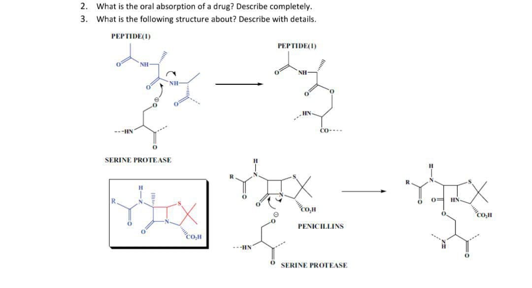 2. What is the oral absorption of a drug? Describe completely.
3. What is the following structure about? Describe with details.
PEPTIDE(1)
PEPTIDE(1)
NH
NH
NH-
---HN
SERINE PROTEASE
H
0
0
E
CO₂H
CO----
0= HN-
in the
CO₂H
CO₂H
PENICILLINS
-HN
SERINE PROTEASE