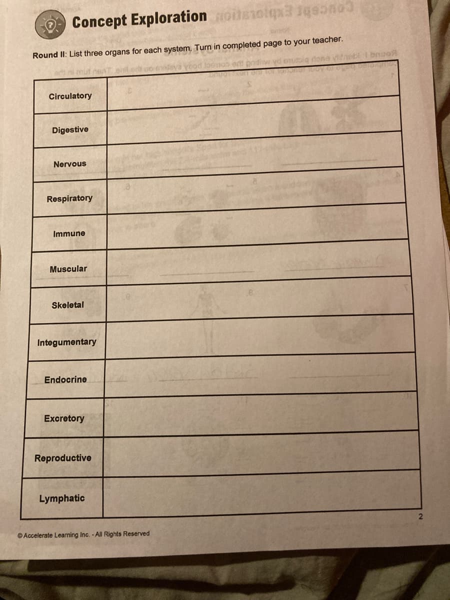 Concept Exploration oisolqx3 1qean
Round II: List three organs for each system, Turn in completed page to your teacher.
yood Joonos
Vidnebi I bnuoR
Circulatory
Digestive
Nervous
Respiratory
Immune
Muscular
Skeletal
Integumentary
Endocrine
Excretory
Reproductive
Lymphatic
©Accelerate Learning Inc. - All Rights Reserved
