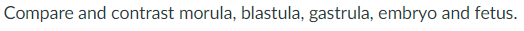 Compare and contrast morula, blastula, gastrula, embryo and fetus.