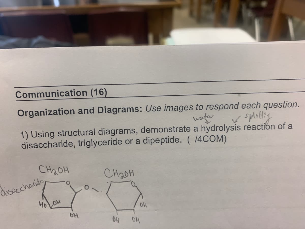 Communication (16)
Organization and Diagrams: Use images to respond each question.
wafa
1) Using structural diagrams, demonstrate a hydrolysis reaction of a
disaccharide, triglyceride or a dipeptide. ( 14COM)
CH2OH
CH20H
dispccharide
HOLOH
