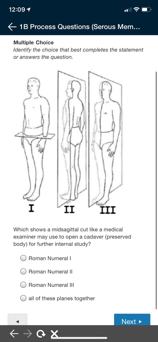 12:09 1
E 1B Process Questions (Serous Mem...
Multiple Choice
Identify the choice that best completes the statement
or answers the question.
ARB
I
II
III
Which shows a midsagittal cut like a medical
examiner may use to open a cadaver (preserved
body) for further internal study?
Roman Numeral I
Roman Numeral II
Roman Numeral III
all of these planes together
Next >
