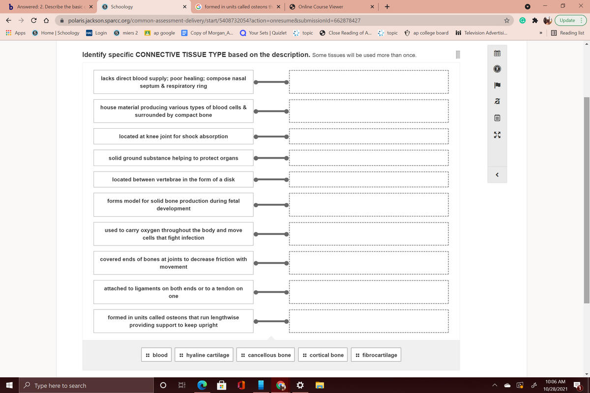 9 Schoology
G formed in units called osteons th X
9 Online Course Viewer
x +
Answered: 2. Describe the basic
A polaris.jackson.sparcc.org/common-assessment-delivery/start/5408732054?action=Donresume&submissionld=662878427
Update :
E Apps
S Home | Schoology
НАС Login
9 miers 2
A ap google B Copy of Morgan_A...
Your Sets | Quizlet
topic
O Close Reading of A...
topic
ap college board
ini Television Advertisi...
Reading list
>>
Identify specific CONNECTIVE TISSUE TYPE based on the description. Some tissues will be used more than once.
lacks direct blood supply; poor healing; compose nasal
septum & respiratory ring
house material producing various types of blood cells &
surrounded by compact bone
located at knee joint for shock absorption
solid ground substance helping to protect organs
located between vertebrae in the form of a disk
forms model for solid bone production during fetal
development
used to carry oxygen throughout the body and move
cells that fight infection
covered ends of bones at joints to decrease friction with
movement
attached to ligaments on both ends or to a tendon on
one
formed in units called osteons that run lengthwise
providing support to keep upright
:: blood
:: hyaline cartilage
:: cancellous bone
:: cortical bone
:: fibrocartilage
10:06 AM
e Type here to search
10/28/2021
